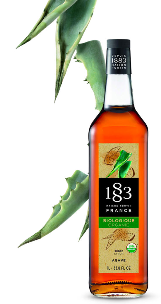 Agave Margarita - Gourmet Syrups - 1883 Maison Routin